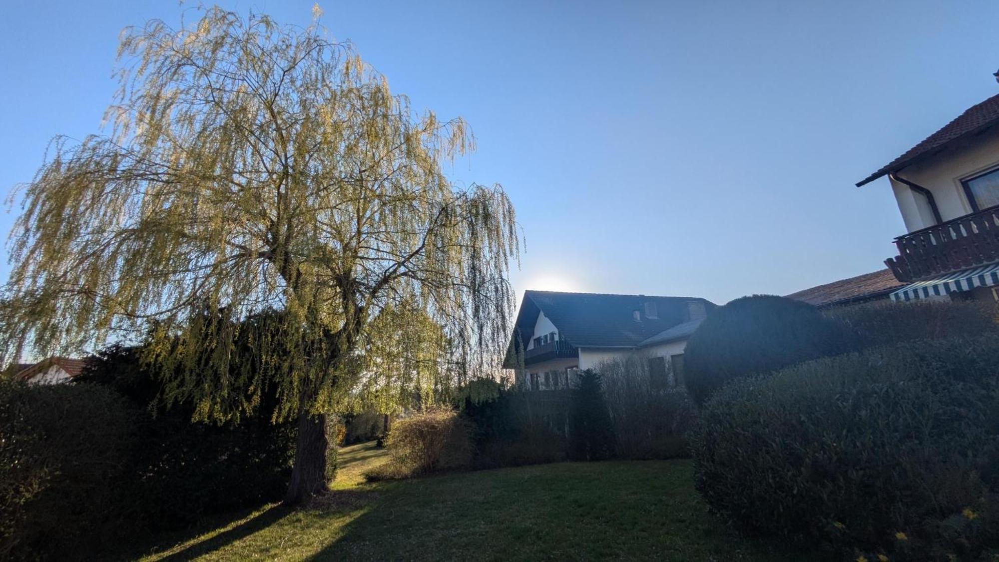 Landhotel Sonneneck - Breuna Im Naturpark Exteriör bild